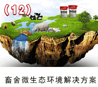΢̬w88winŵ½
